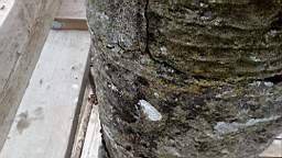 stcronans 1160.jpg